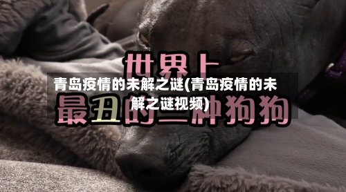 青岛疫情的未解之谜(青岛疫情的未解之谜视频)