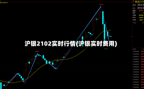沪银2102实时行情(沪银实时费用)