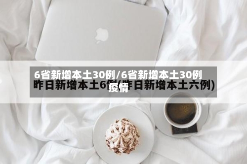 6省新增本土30例/6省新增本土30例疫情