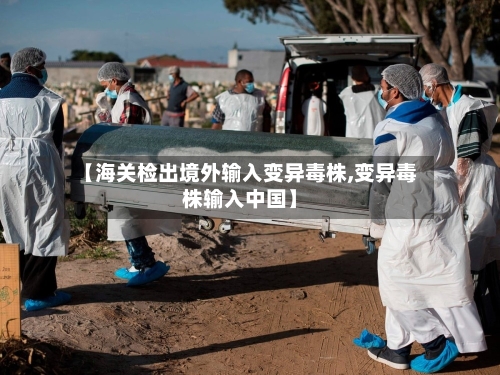 【海关检出境外输入变异毒株,变异毒株输入中国】