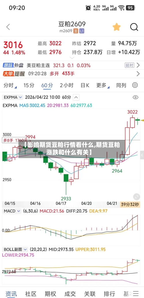 【影响期货豆粕行情看什么,期货豆粕涨跌和什么有关】