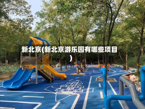 新北京(新北京游乐园有哪些项目)
