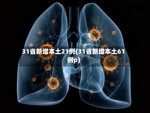 31省新增本土21例(31省新增本土61例p)