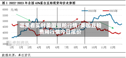 哪里看实时美国豆粕行情/美国豆粕费用行情今日报价