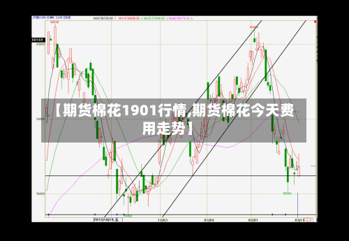 【期货棉花1901行情,期货棉花今天费用走势】
