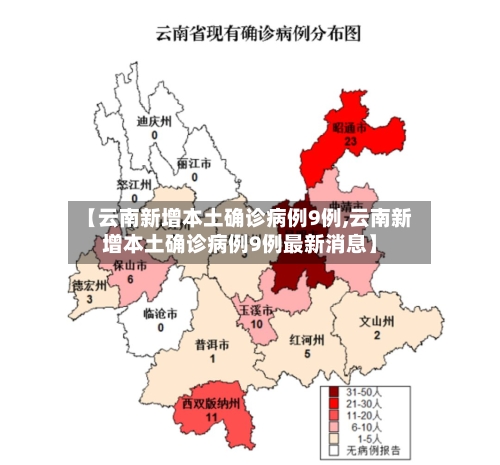 【云南新增本土确诊病例9例,云南新增本土确诊病例9例最新消息】