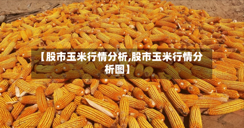【股市玉米行情分析,股市玉米行情分析图】