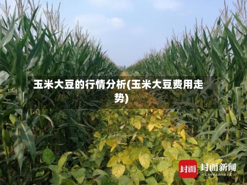 玉米大豆的行情分析(玉米大豆费用走势)