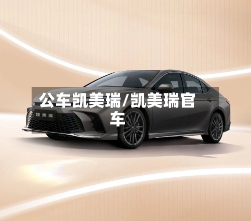 公车凯美瑞/凯美瑞官车