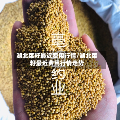 湖北菜籽最近费用行情/湖北菜籽最近费用行情走势