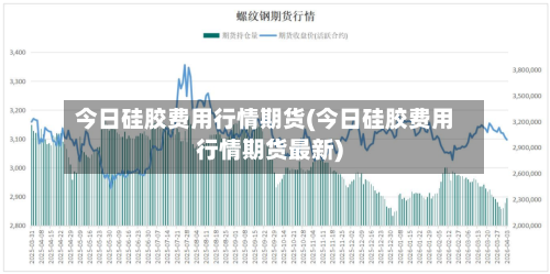 今日硅胶费用行情期货(今日硅胶费用行情期货最新)