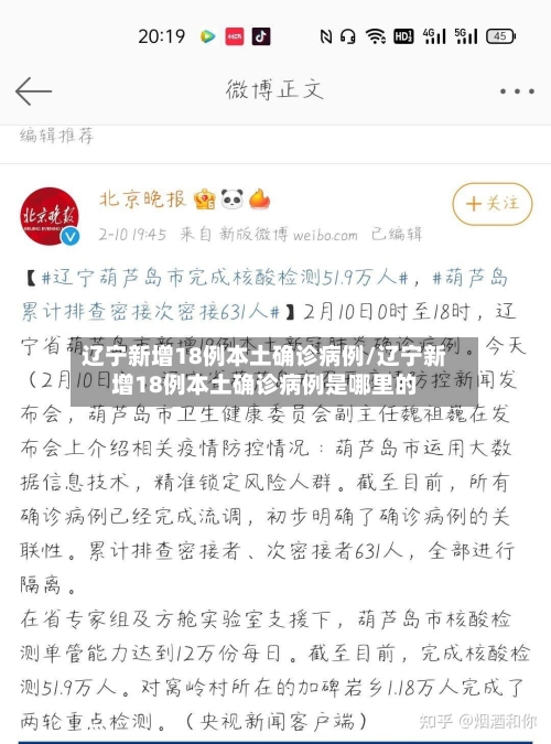 辽宁新增18例本土确诊病例/辽宁新增18例本土确诊病例是哪里的