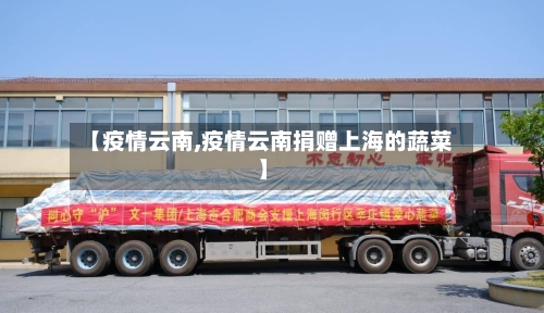 【疫情云南,疫情云南捐赠上海的蔬菜】
