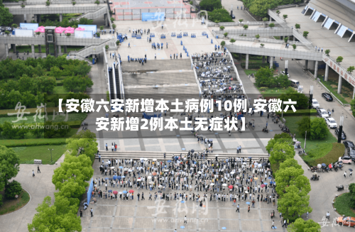 【安徽六安新增本土病例10例,安徽六安新增2例本土无症状】