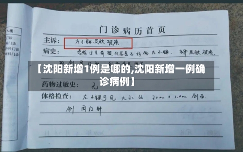 【沈阳新增1例是哪的,沈阳新增一例确诊病例】