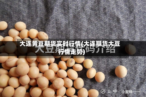 大连黄豆期货实时行情(大连期货大豆行情走势)