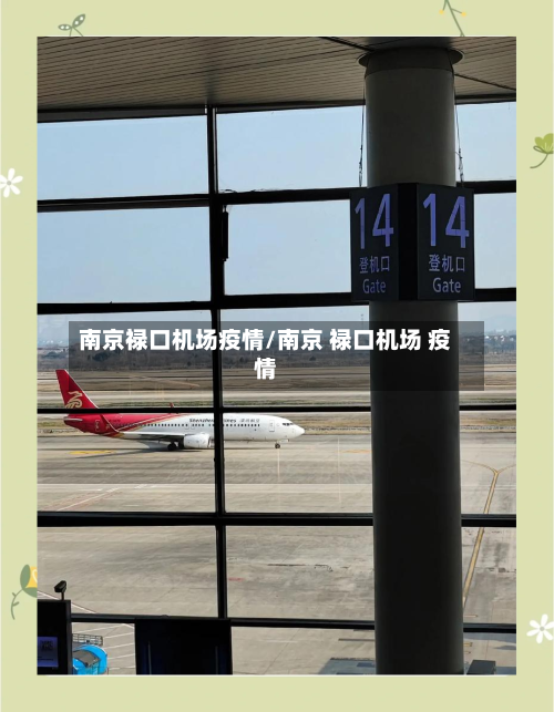 南京禄口机场疫情/南京 禄口机场 疫情