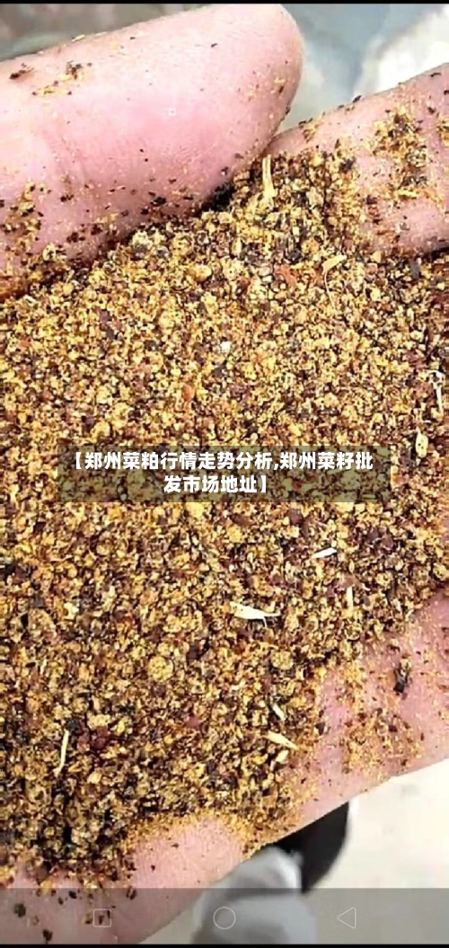 【郑州菜粕行情走势分析,郑州菜籽批发市场地址】