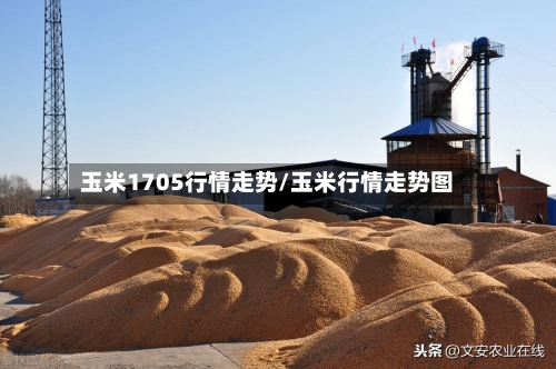 玉米1705行情走势/玉米行情走势图