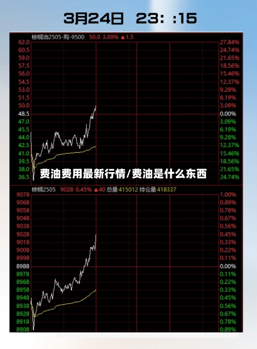 费油费用最新行情/费油是什么东西