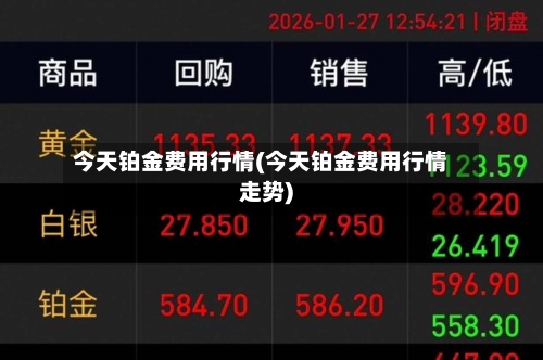 今天铂金费用行情(今天铂金费用行情走势)