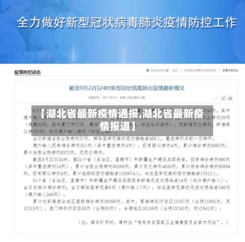 【湖北省最新疫情通报,湖北省最新疫情报道】