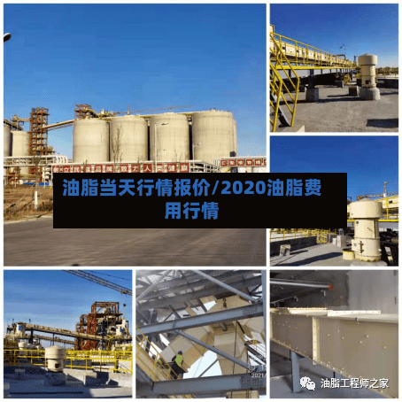 油脂当天行情报价/2020油脂费用行情