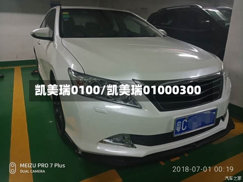 凯美瑞0100/凯美瑞01000300