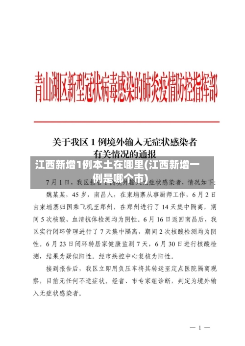 江西新增1例本土在哪里(江西新增一例是哪个市)