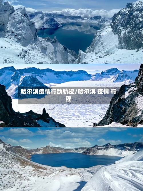 哈尔滨疫情行动轨迹/哈尔滨 疫情 行程
