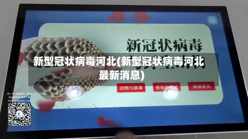 新型冠状病毒河北(新型冠状病毒河北最新消息)