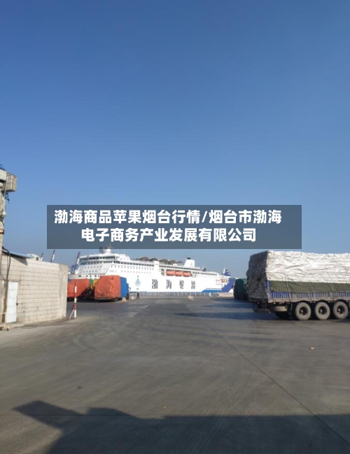 渤海商品苹果烟台行情/烟台市渤海电子商务产业发展有限公司