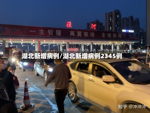 湖北新增病例/湖北新增病例2345例