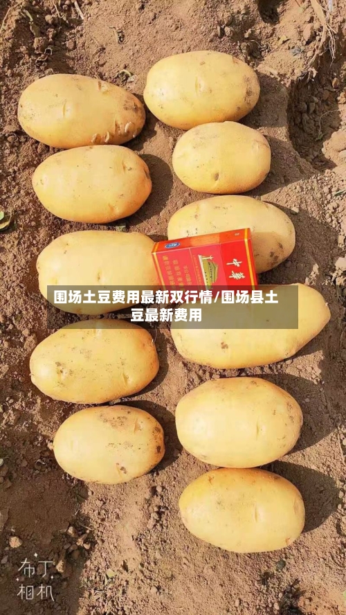 围场土豆费用最新双行情/围场县土豆最新费用