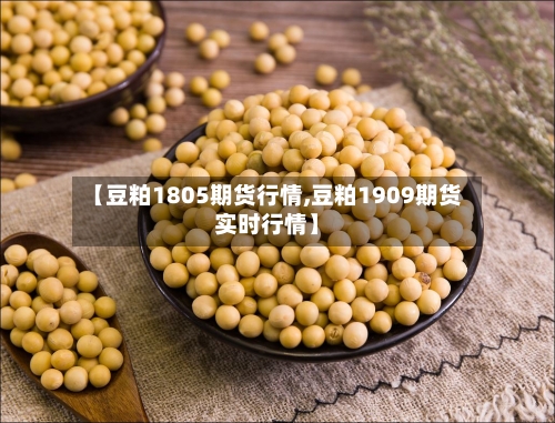 【豆粕1805期货行情,豆粕1909期货实时行情】