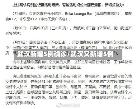 武汉新增5例确诊/武汉又新增5例