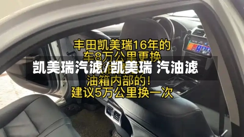 凯美瑞汽滤/凯美瑞 汽油滤