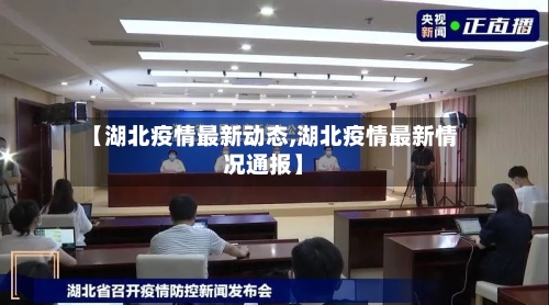 【湖北疫情最新动态,湖北疫情最新情况通报】