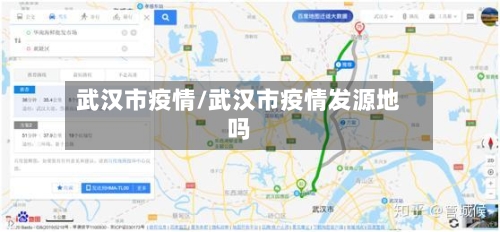 武汉市疫情/武汉市疫情发源地吗
