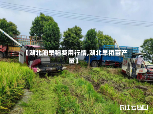 【湖北油早稻费用行情,湖北早稻亩产量】