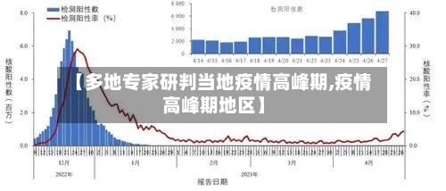 【多地专家研判当地疫情高峰期,疫情高峰期地区】