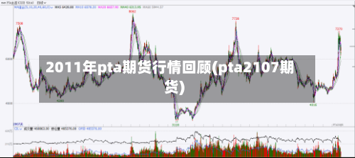 2011年pta期货行情回顾(pta2107期货)