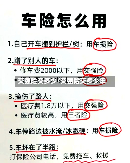 交强险交多少/交强险交多少年