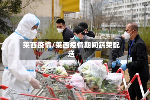 莱西疫情/莱西疫情期间蔬菜配送