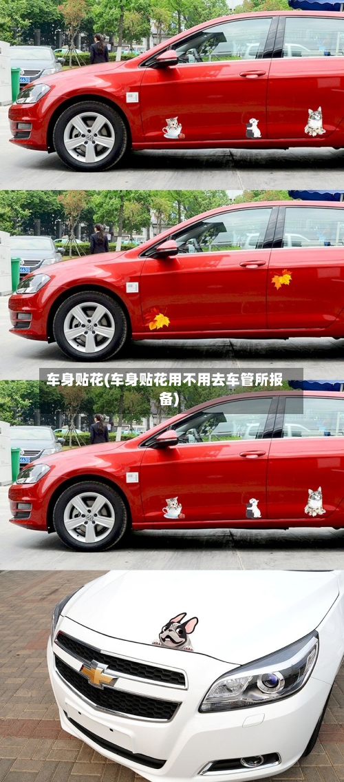 车身贴花(车身贴花用不用去车管所报备)