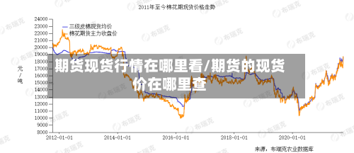 期货现货行情在哪里看/期货的现货价在哪里查