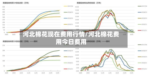 河北棉花现在费用行情/河北棉花费用今日费用