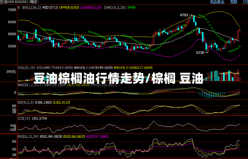 豆油棕榈油行情走势/棕榈 豆油