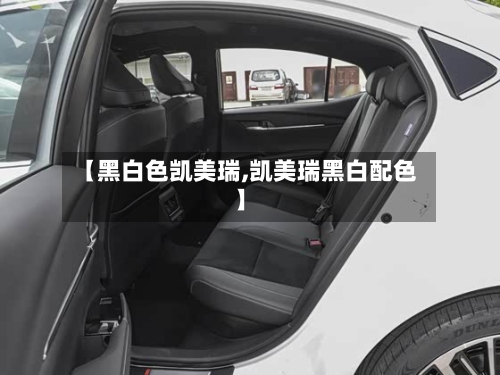 【黑白色凯美瑞,凯美瑞黑白配色】
