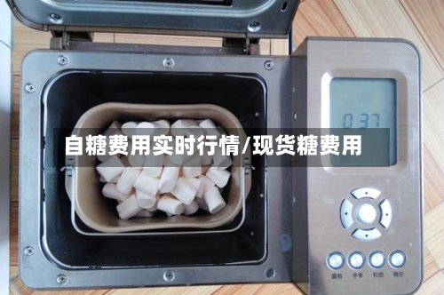 自糖费用实时行情/现货糖费用
